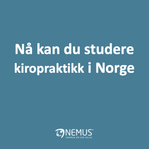 Studere kiropraktikk